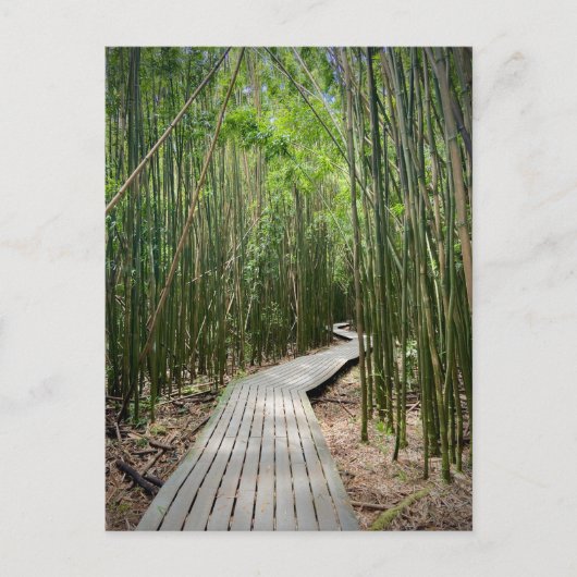 Pipiwai Trail, Haleakala Nationalpark, Maui Postkarte (Vorderseite)