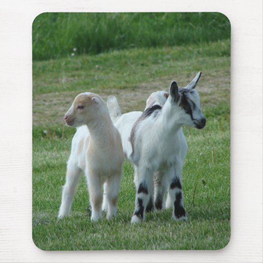 Pippi und Grau Mousepad (Vorne)