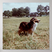 Pippin Poster (Vorne)