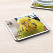 Pipsqueak @chirpythecrazyparkeet Plastic coaster Getränkeuntersetzer (Linke Seite)