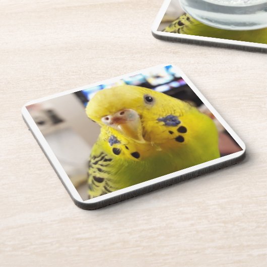 Pipsqueak @chirpythecrazyparkeet Plastic coaster Getränkeuntersetzer (Linke Seite)