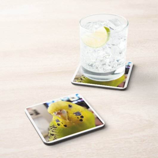 Pipsqueak @chirpythecrazyparkeet Plastic coaster Getränkeuntersetzer (Rechte Seite)