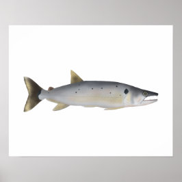 Pirá Yobua Poster