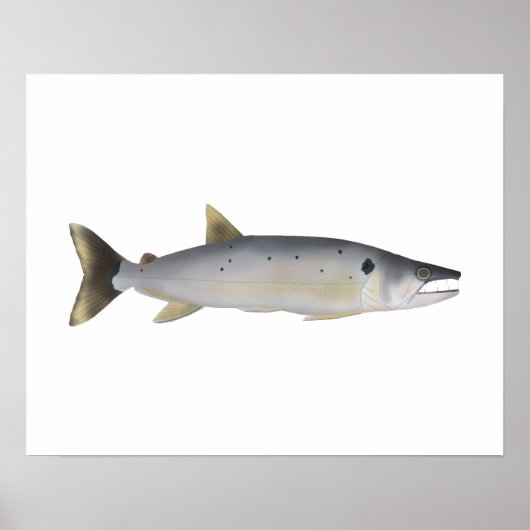 Pirá Yobua Poster (Vorne)