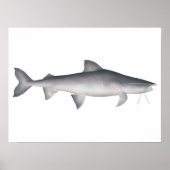 Piraiba Poster (Vorne)