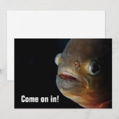 Piranha-Einladung Einladung (Vorne/Hinten)