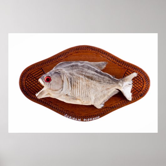 Piranha-Fische als Trophäe auf Holz abgeschieden Poster (Vorne)