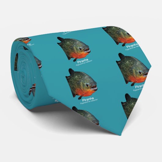Piranha Krawatte (Gerollt)