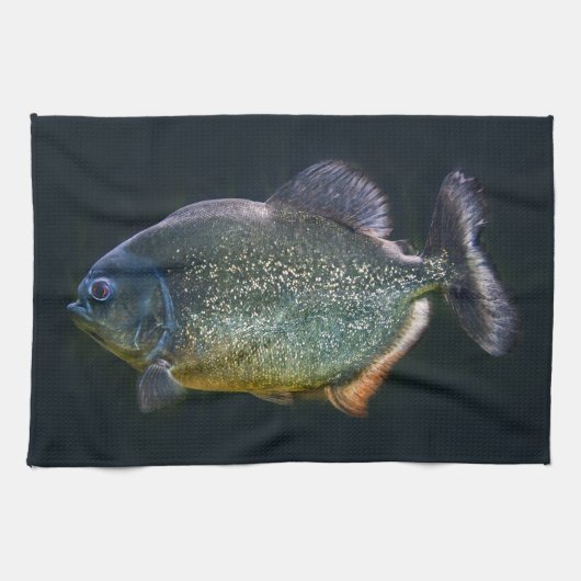 Piranha Küchentuch (Horizontal)