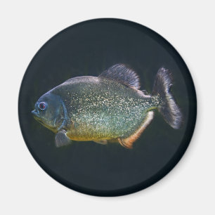 Piranha-Magnet Magnet