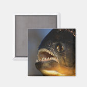 Piranha Nah-up Magnet (Vorderseite/Rückseite)