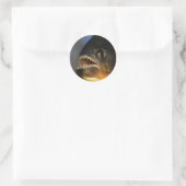 Piranha Nah-up Runder Aufkleber (Tasche)