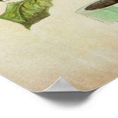 Piranha Pflanze Botanische Illustration Poster (Ecke)