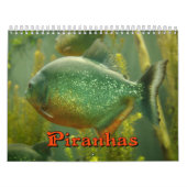 Piranhas-Wandkalender Kalender (Titelbild)