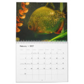 Piranhas-Wandkalender Kalender (Feb 2027)