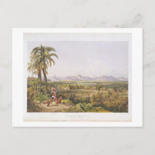 Pirara und der Amucu-See, das Gebiet von El Dorado Postkarte