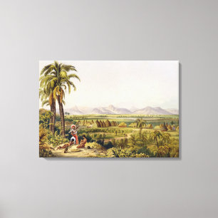 Pirara und See Amucu, der Standort des Eldorados, Leinwanddruck