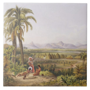 Pirara und See Amucu, der Standort von EL Dorado, Fliese