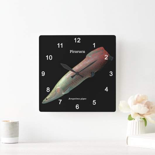 Pirarucu , Arapaima gigas Quadratische Wanduhr (Zuhause)
