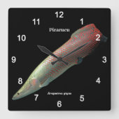 Pirarucu , Arapaima gigas Quadratische Wanduhr (Vorderseite)