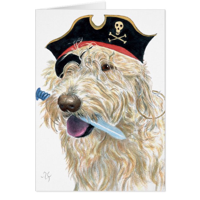 Pirat SahneLabradoodle (Vorne)