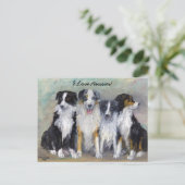 Pirat und Daughters - Australian Shepherds Postkarte (Stehend Vorderseite)