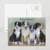Pirat und Daughters - Australian Shepherds Postkarte (Vorne/Hinten)