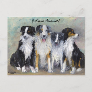 Pirat und Daughters - Australian Shepherds Postkarte