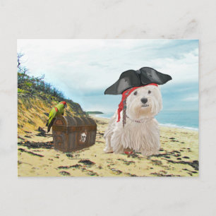 Pirat Westie Postkarte