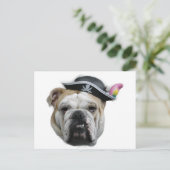 Pirate Bulldog Postkarte (Stehend Vorderseite)