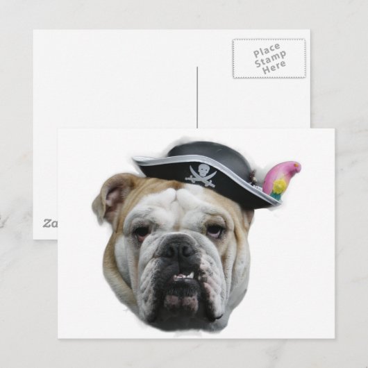 Pirate Bulldog Postkarte (Vorne/Hinten)