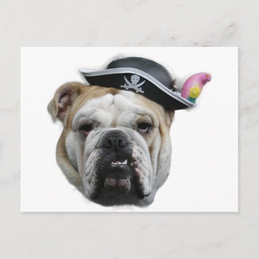 Pirate Bulldog Postkarte (Vorderseite)