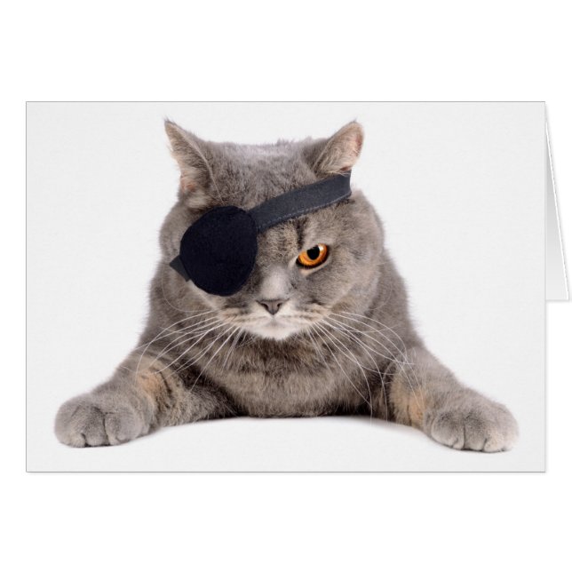 Pirate Cat (Vorderseite (Horizontal))