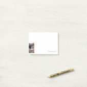 Pirate Cat Post-it Klebezettel (Auf Schreibtisch)