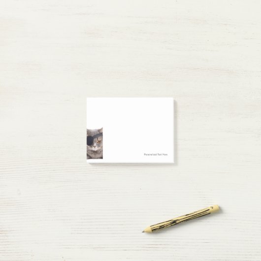 Pirate Cat Post-it Klebezettel (Auf Schreibtisch)