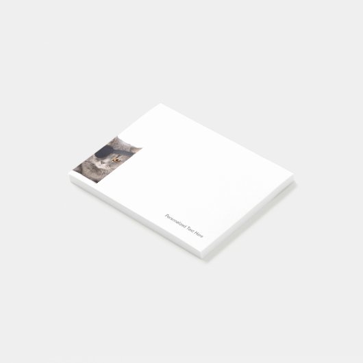 Pirate Cat Post-it Klebezettel (angewinkelt)