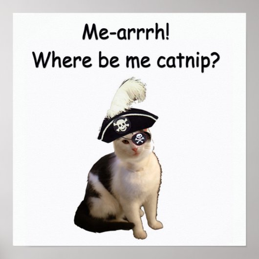 Pirate Cat Poster (Vorne)