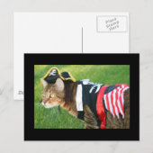 Pirate Cat Postkarte (Vorne/Hinten)