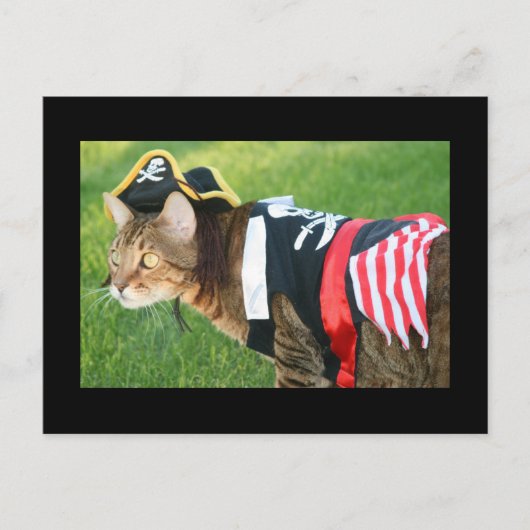 Pirate Cat Postkarte (Vorderseite)