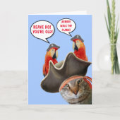 Pirate Cat und Rude Parrots Funny Birthday Karte (Vorderseite)