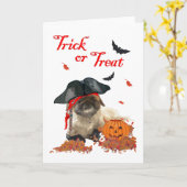 Pirate Doggie Karte (Gelbe Blume)