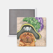 Pirate Dogue de Bordeaux Magnet (Vorderseite/Rückseite)
