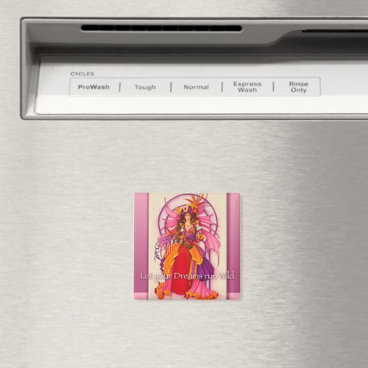 Pirate Fee Magnet (In Situ (Geschirrspüler))