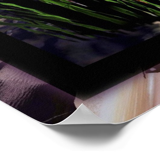 Pirate Island von David Wilder Poster (Ecke)