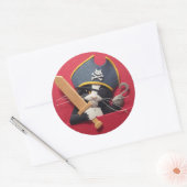 Pirate Kitten Stickers (Umschlag)