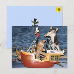 Pirate Kittens Postcard Postkarte
