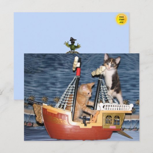 Pirate Kittens Postcard Postkarte (Vorne/Hinten)