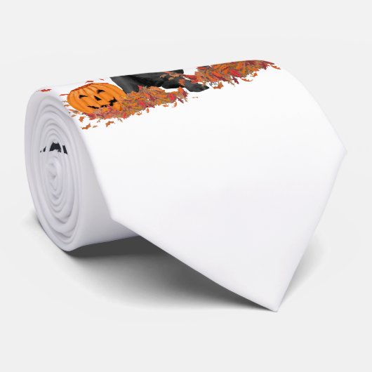 Pirate Krawatte (Gerollt)