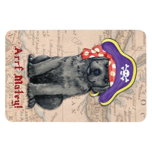 Pirate Magnet (Horizontal)