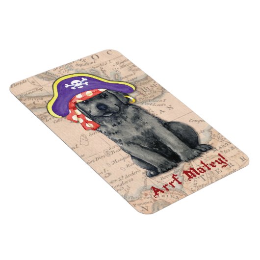 Pirate Magnet (Rechte Seite)